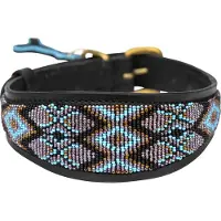 Kampuni Collier de chien Lucher Ombima turkis medium, 53x5,5 cm (Chien)