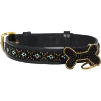 Kampuni Collier pour chien Skinny Faraja turkis medium, 53x2,1 cm (Chien)