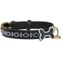 Kampuni Collier pour chien Skinny Rafiki sort medium, 53x2,1 cm (Chien)