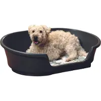 Nobby COSY-AIR 55 sort 66x35x21 (Chien)