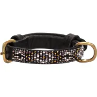 Kampuni Collier de chien Ombima sort micro long, 38x1,2 cm (Chien)