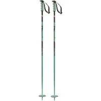 Salomon Steep Poles Vert 125 cm