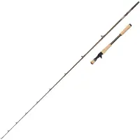 Abu Garcia Beast Pro2 Baitcasting Rod Doré 1.98 m / 30-90 g