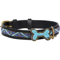 Kampuni Collier pour chien Skinny Kabaka blå large, 61x2,1 cm (Chien)