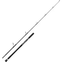 Penn Carnage Popping Rod Gris 2.29 m / 100-180 g