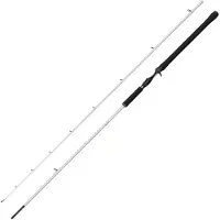 Abu Garcia Beast X2 Baitcasting Rod Argenté 2.44 m / 30-100 g