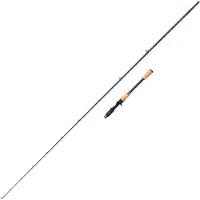 Abu Garcia Canne Baitcasting Fantasista Nano