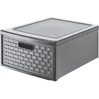 Rotho Pays (34 cm, 19.20 l, 1x)