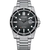 Citizen Juste le temps Collection Argent Action OF - homme