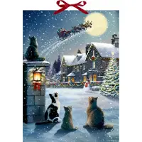 Sonstige Verlage Calendrier de l'Avent mural - Noël des chats