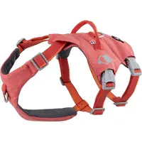 Hurtta Safeguard ECO sele, fraise 55-70 (Chien)