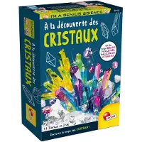 Lisciani Kit scientifique I'm A Genius Pocket Crystal Discovery