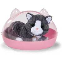 Baby Born Interactive Cat Cookie With Box Rose Enfants