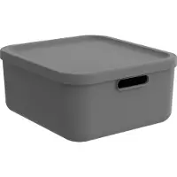 Rotho Boîte de rangement (35.50 cm, 20 l)