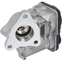 Delphi Vanne EGR EG10557-12B1