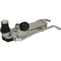 Delphi Vanne EGR EG10589-12B1