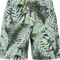 Protest Glory Swimming Shorts Vert L Homme
