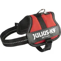 Julius-K9 Powergeschirr Baby harnais pour chien rouge XS-S, Dimensions:26 - 36cm