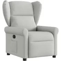 vidaXL Fauteuil relax gris nuageux Tissu
