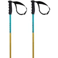 Völkl Phantastick Junior Poles Clair 90 cm Enfants