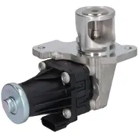 Delphi Vanne EGR EG10553-12B1