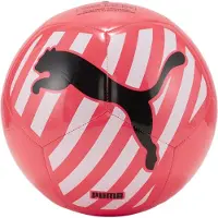 Puma 4