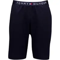 Tommy Hilfiger Um0um03080 Sweat Shorts Bleu XL Homme