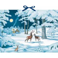Sonstige Verlage Calendrier de l'Avent mural - Animaux hivernaux la nuit