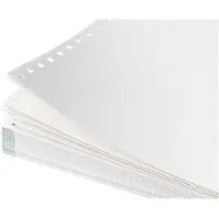 Soennecken Papier informatique 5916 240mmx12" vierge 1.000 fls/paquet (A4, 1000 feuilles)