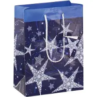 Sigel 5 Geschenktaschen Shining Star Motiv 17,0 x 23,0 cm