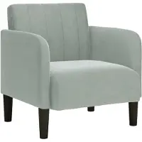 vidaXL Fauteuil avec accoudoirs gris clair 54 cm velours