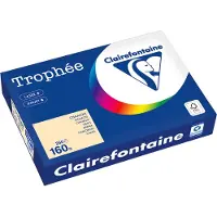 Clairefontaine Chamoins A4 Papier couleur 160 g/m² (250 feuilles)