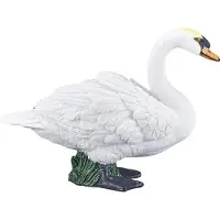 Animal planet Cygne tuberculé