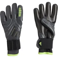 Adidas Copa Pro Goalkeeper Gloves Gris 10