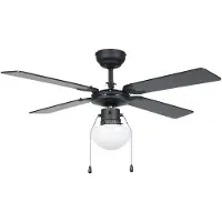 Eglo Ventilateur de plafond Fortaleza noir