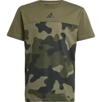 Adidas T-Shirt fonctionnel 'Seasonal Essentials' kaki / olive / noir
