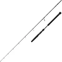 Savage Gear Defiance Sg2 Light Light Jigging Rod Argenté 1.80 m / 80 g