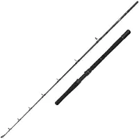 Savage Gear Fury Sg2 Halibut Bottom Shipping Rod Argenté 1.90 m / 800 g