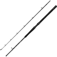 Savage Gear Fury Sg2, canne bateau, 2,13 m, puissance 20-30 lb, poids de lancer 150-400 g