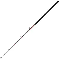 Penn Warfare Ii Trolling Rod Argenté 1.70 m / 30-50 Lbs