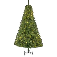 Black Box Trees Arbre de Noël artificiel Charlton - 115x115x185 cm - PVC - Vert