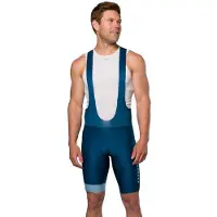 Pearl Izumi Pro Bib Shorts Bleu L Homme