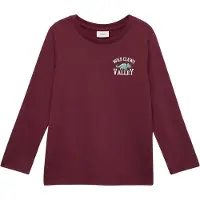 s.Oliver T-Shirt bleu / vert clair / bordeaux / blanc naturel