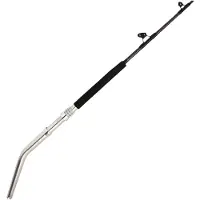 Penn Canne Jigging Ally Ii Boat Conventional