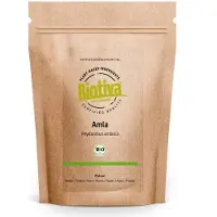 Good Organics GmbH Biotiva Amla poudre 100g issue de l'agriculture biologique