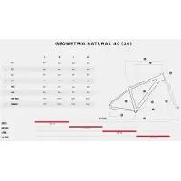 Megamo Natural 40 29´´ Acera 2026 Mtb Bike Blanc M