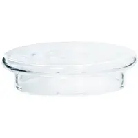 Loveramics Brewers - Glasdeckel 8 Cm Für Tall-/Bauch-/Optik-Krüge, Machine à café : accessoires, Transparent