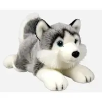 Dubi Plusz Chien Husky couché 34cm 48853
