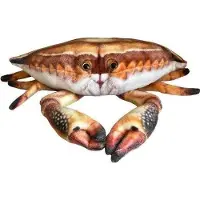 Dubi Krab 31cm -