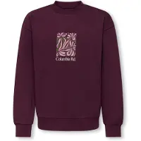 Only & Sons Sweatshirt Beaufort Garçon Fig